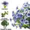 16 Bundles UV-Resistant Artificial Daisy Flowers – Faux Silk Blue Blooms for Outdoor Porch, Patio, Garden, Window Box & Planter Decor